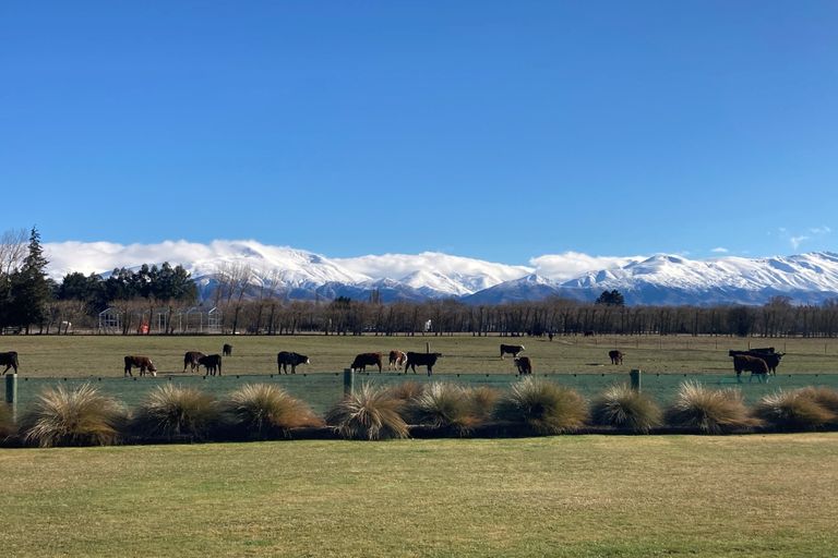 Photo of property in 28 Ayr Street, Fairlie, 7925