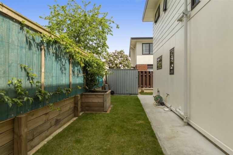 Photo of property in 15b Rushton Avenue, Otumoetai, Tauranga, 3110