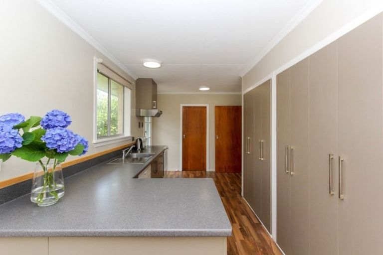 Photo of property in 23 Trafalgar Street, Westown, New Plymouth, 4310