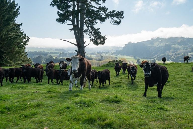 Photo of property in 30 Kaiapo Road, Acacia Bay, Taupo, 3385