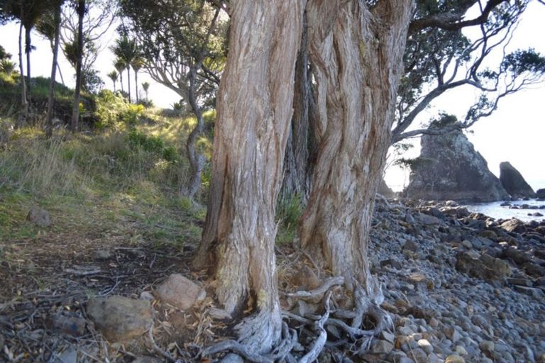 Photo of property in 24 Boulder Bay Drive, Tuateawa, Coromandel, 3583