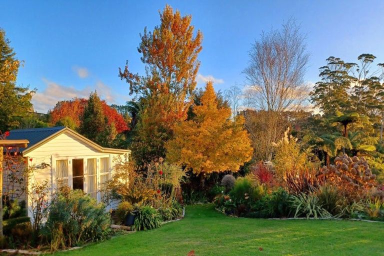 Photo of property in 480b Youngson Road, Whakamarama, 3179