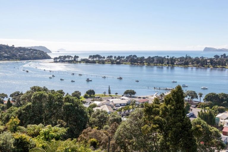 Photo of property in 6 Tairua Heights, Tairua, 3508