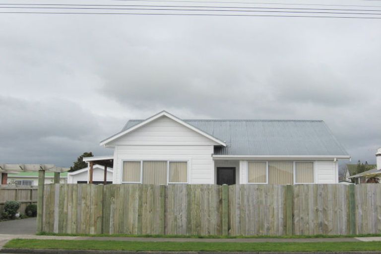 Photo of property in 52 Winchester Street, Levin, 5510