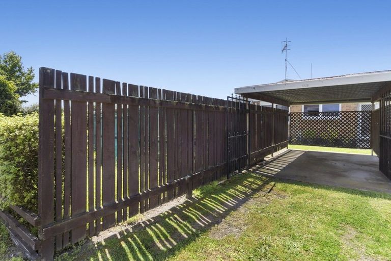 Photo of property in 1252b Cameron Road, Gate Pa, Tauranga, 3112