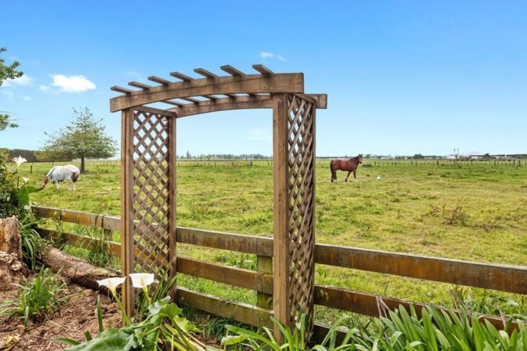 Photo of property in 28 Edgecumbe Soldiers Road, Edgecumbe, Whakatane, 3193