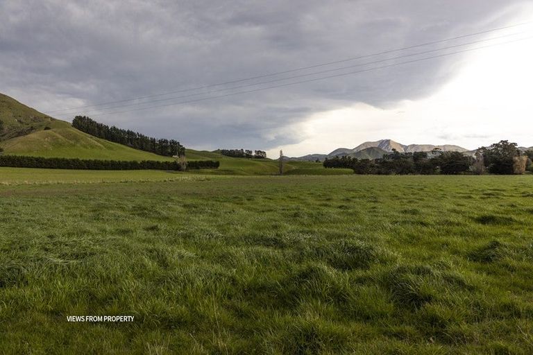 Photo of property in 18 Clermont Street, Ward, Seddon, 7285