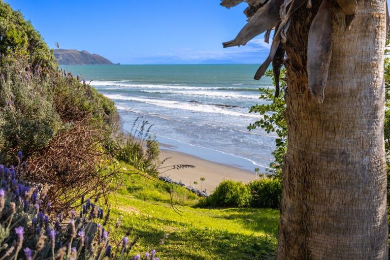 Photo of property in 84 Ames Street, Paekakariki, 5034