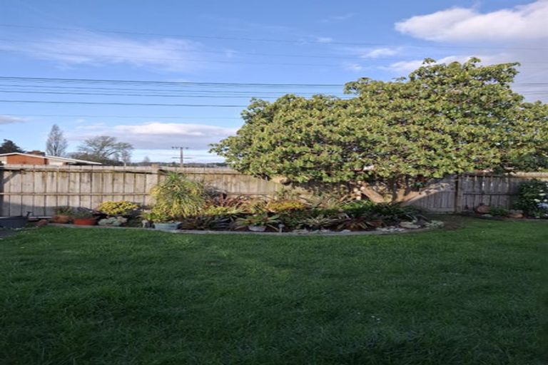 Photo of property in 118 Fitzroy Avenue, Fitzroy, Hamilton, 3206