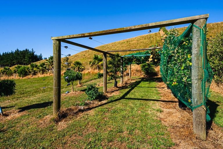 Photo of property in 38a Atkinson Road, Ridgewood, New Plymouth, 4371