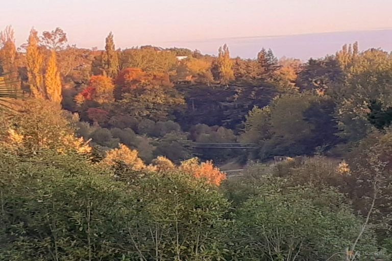 Photo of property in 22 Chaucer Street, Highfield, Timaru, 7910