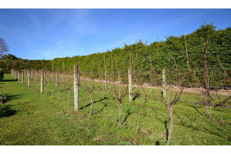 Photo of property in 164 Puketotara Road, Waipapa, Kerikeri, 0295