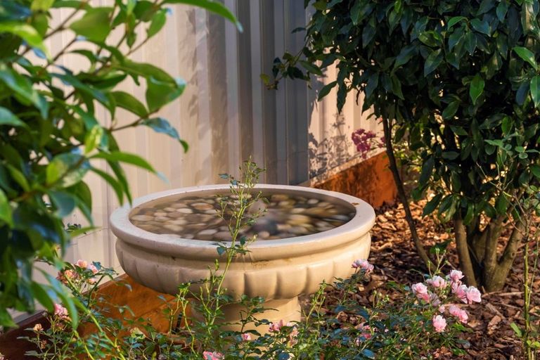 Photo of property in 16 Riddington Rise, Ohauiti, Tauranga, 3112