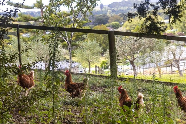 Photo of property in 1071 Tauhoa Road, Kaipara Flats, Warkworth, 0984