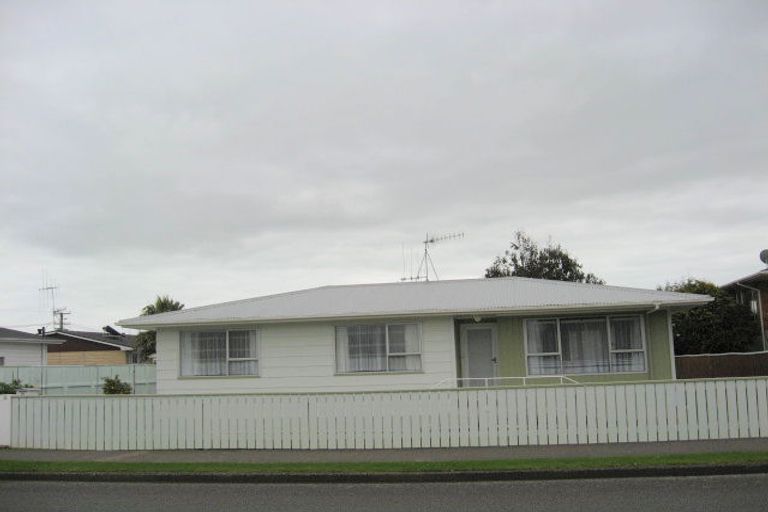 Photo of property in 113 Tiro Tiro Road, Levin, 5510