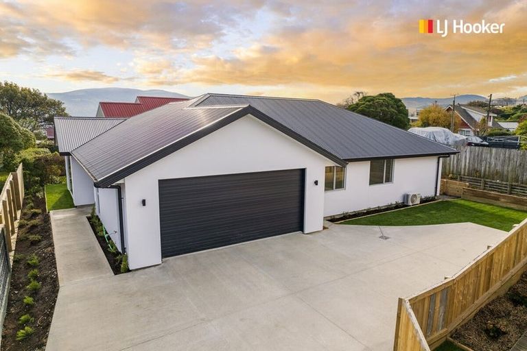 Photo of property in 93 Belford Street, Waverley, Dunedin, 9013