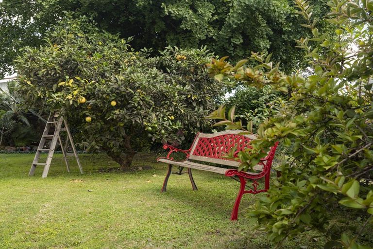 Photo of property in 11 Travis Street, Taradale, Napier, 4112