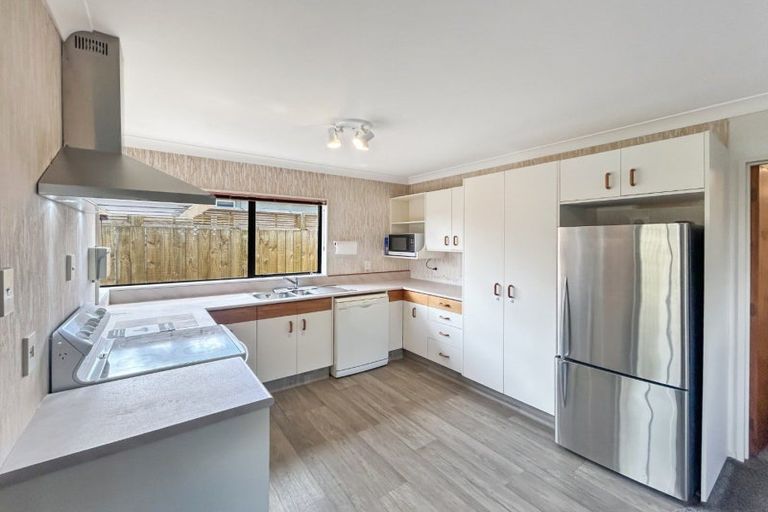 Photo of property in 48a Roy Street, Palmerston North, 4410