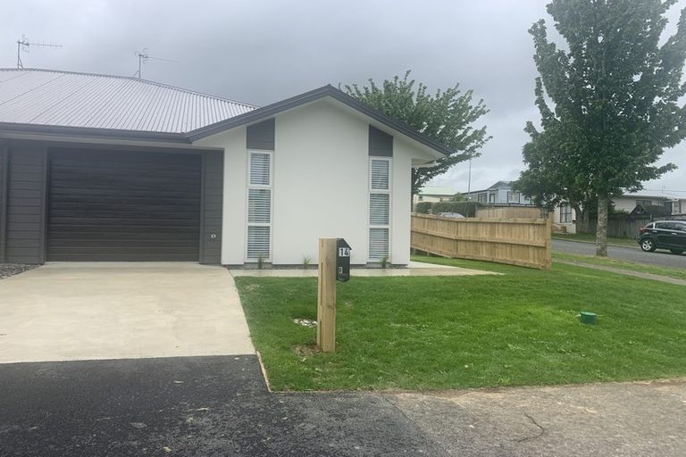 Photo of property in 14b Hinau Street, Maeroa, Hamilton, 3200