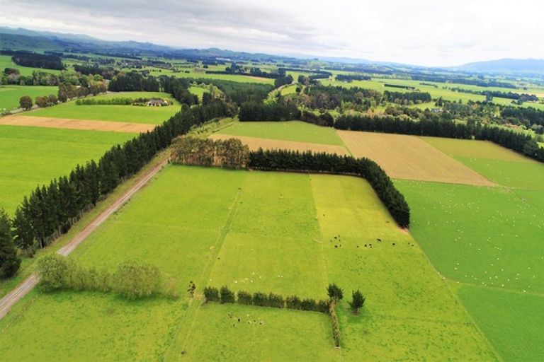 Photo of property in 39 Laws Road, Dannevirke, 4972