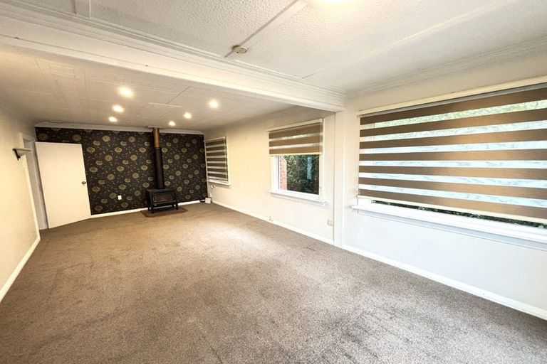 Photo of property in 15 Littlebourne Road, Roslyn, Dunedin, 9010