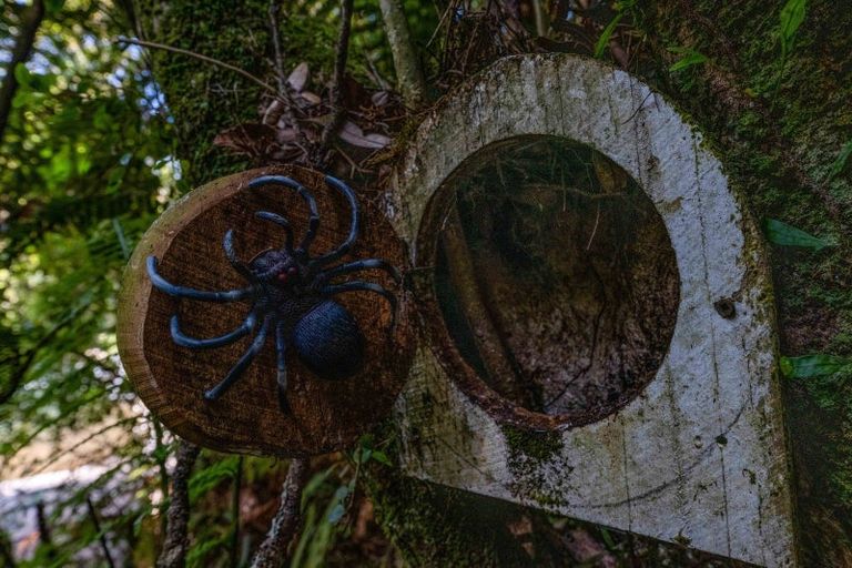 Photo of property in 115 Alfred Road, Egmont Village, New Plymouth, 4371