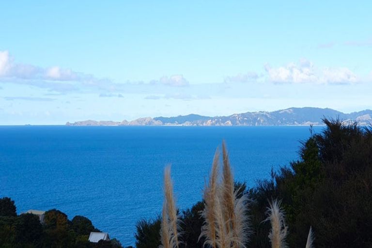 Photo of property in 457 Tuateawa Road, Tuateawa, Coromandel, 3583