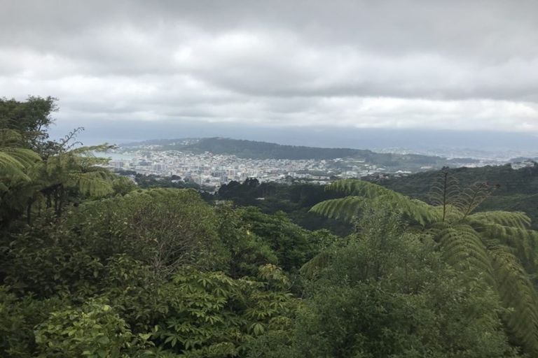 Photo of property in 26 Highbury Crescent, Highbury, Wellington, 6012