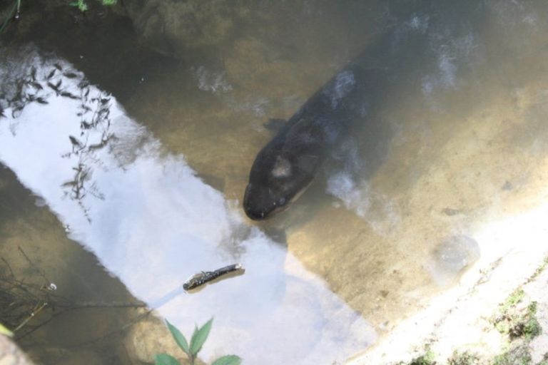 Photo of property in 3 Birdsong Lane, Mangawhai, Kaiwaka, 0573