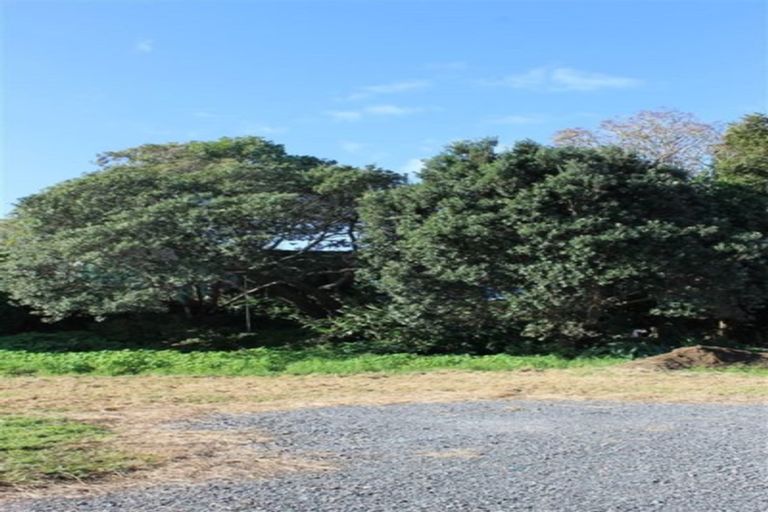 Photo of property in 81 Kauri Grove, Coromandel, 3506