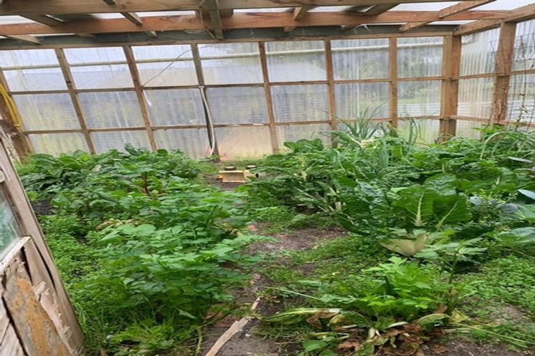 Photo of property in 6 Grace Street North, Sanson, 4817