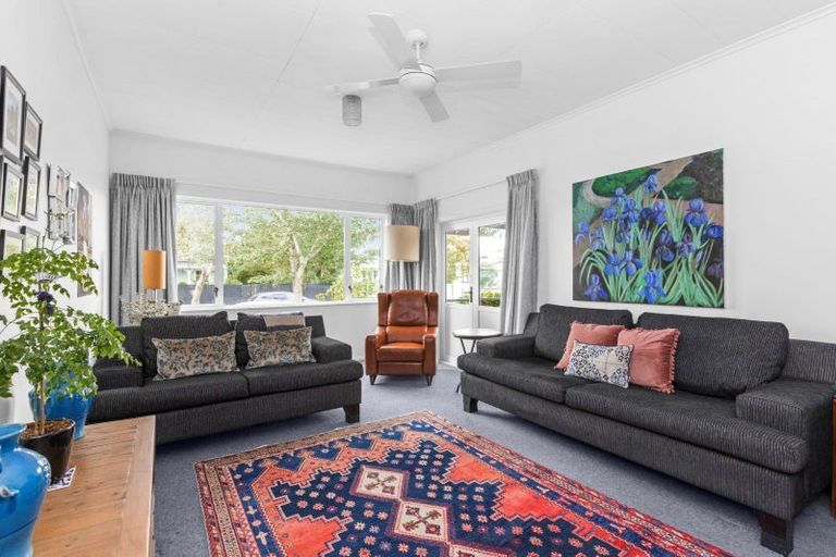 Photo of property in 910 Ferguson Street, Akina, Hastings, 4122