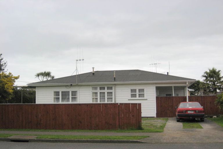 Photo of property in 111 Tiro Tiro Road, Levin, 5510