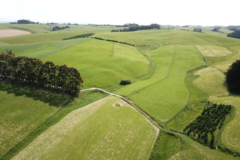 Photo of property in 31 Windy Ridge Road, Benhar, Balclutha, 9272