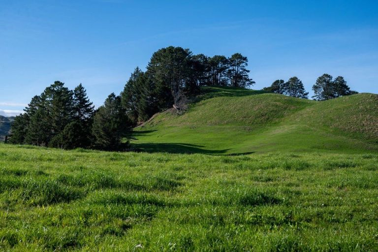 Photo of property in 617 Dunkirk Road, Atiamuri, 3078