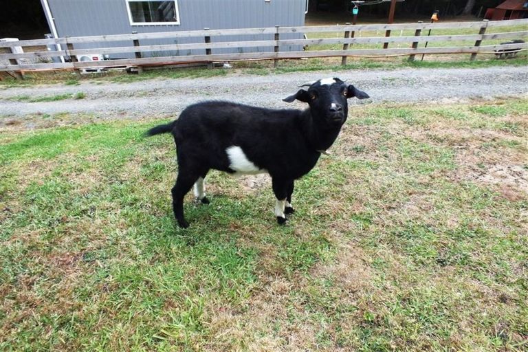 Photo of property in 86a Upper Waiwera Road, Puhoi, Silverdale, 0994