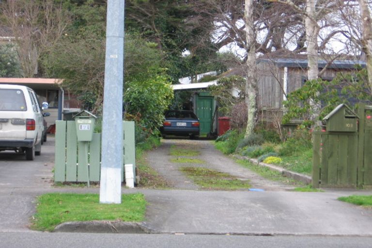 Photo of property in 101 Manawatu Street, Hokowhitu, Palmerston North, 4410
