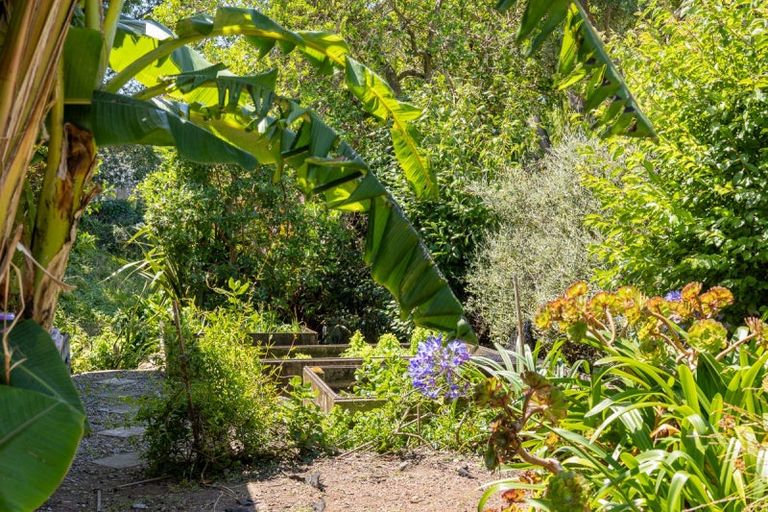 Photo of property in 15a Alexander Road, Raumati Beach, Paraparaumu, 5032