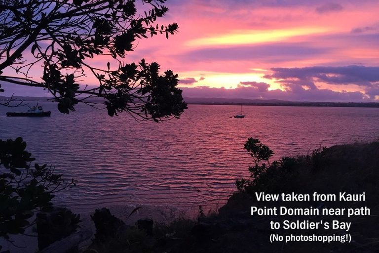 Photo of property in 1/163 Balmain Road, Birkenhead, Auckland, 0626