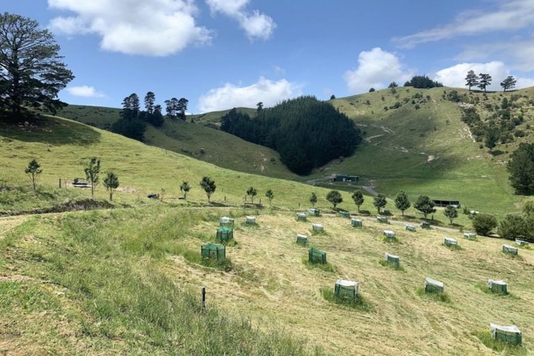 Photo of property in 8268 Paeroa Kopu Road, Hikutaia, Paeroa, 3674