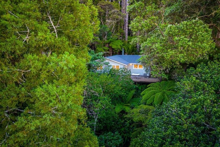 Photo of property in 23 Kauri Loop Road, Oratia, Auckland, 0604