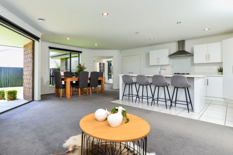 Photo of property in 10 Vantage Place, Flagstaff, Hamilton, 3210