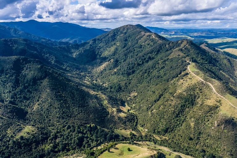 Photo of property in 814 Mikimiki Road, Mikimiki, Masterton, 5881