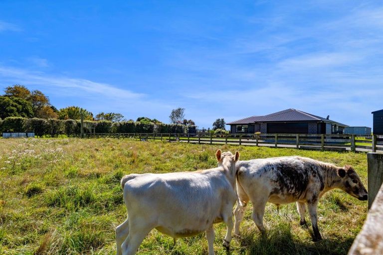 Photo of property in 123 Princess Street, Waitara, 4383