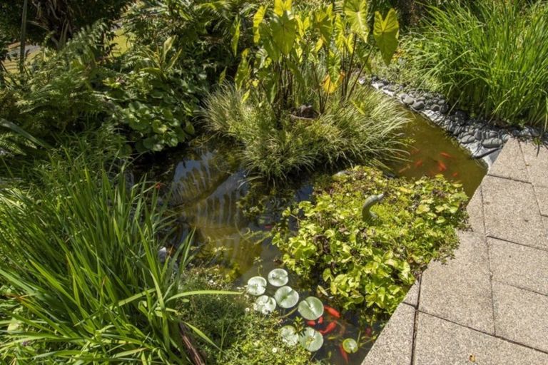 Photo of property in 26a Wainui South Road, Whakamarama, Katikati, 3181