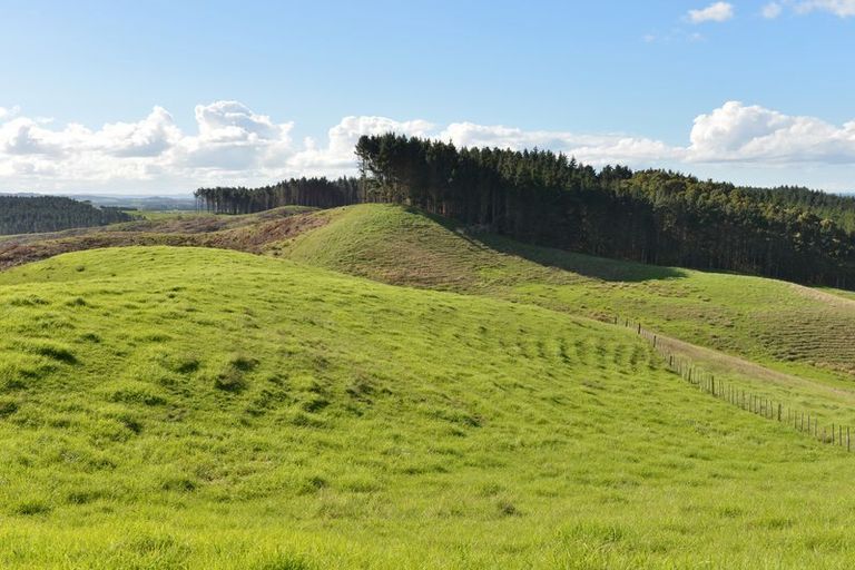 Photo of property in 495 Glenmohr Road, Waipu, 0582