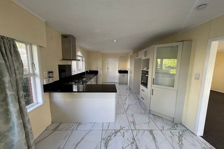 Photo of property in 119 Elliot Street, Pahurehure, Papakura, 2113