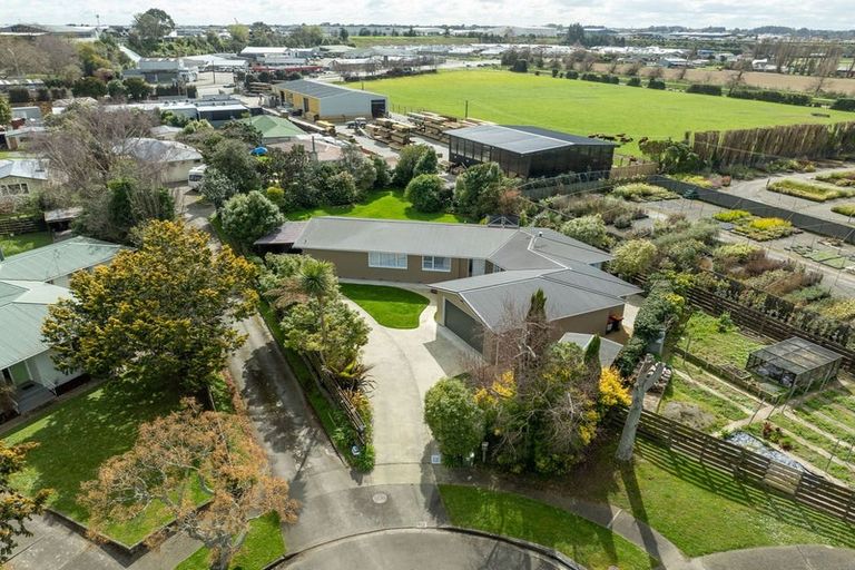 Photo of property in 9 Patea Place, Terrace End, Palmerston North, 4410
