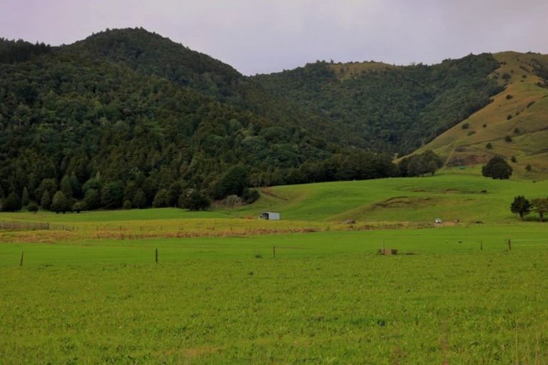 Photo of property in 1008 Tangowahine Valley Road, Tangowahine, Dargaville, 0372