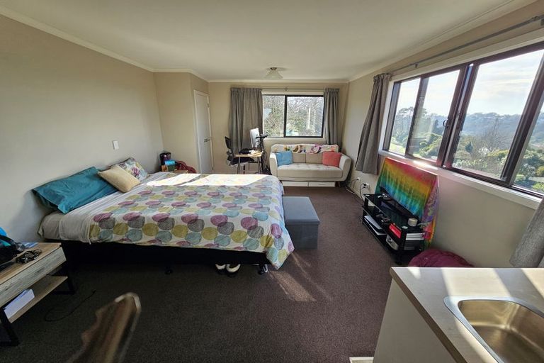 Photo of property in 17 Park Terrace, Hamilton Central, Hamilton, 3204